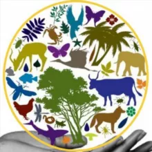 Забавные животные | Funny animals🐶🐱🦊🦁🐰