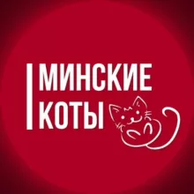 Минские коты