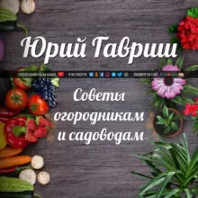Дача: Советы огородникам и садоводам