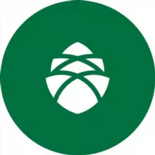 Conomica | Чат про деньги для бизнеса