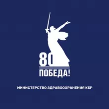 Минздрав КБР Chat