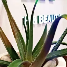 ПРОДУКЦИЯ LR!☘️