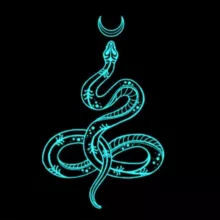 Библиотека ведьмы. Книги