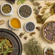 Pratiques ancestrales - Plantes médicinales