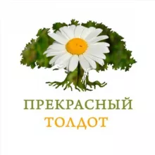 Прекрасный Толдот