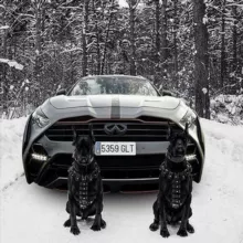 🇷🇺 АВТОРЫНОК 🇷🇺 !!! ПРОБЛЕМНЫХ-АВТО-РФ 🇷🇺 ☑️☑️☑️