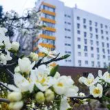 25 БОЛЬНИЦА ВОЛГОГРАД Chat