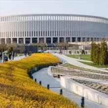 Краснодар • Учёба • Развитие