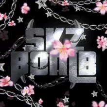 STRAY KIDS BOMB ЗАКРЫТО