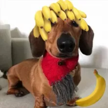 Ответы ОГЭ Дагестан 05 регион