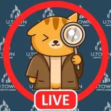 🤖优塔老猫直播室🎰- UT66.NET