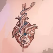 🖤В̲ы̲ж̲и̲т̲ь̲ ̲в̲ ̲м̲е̲д̲и̲ц̲и̲н̲с̲к̲о̲м̲🖤