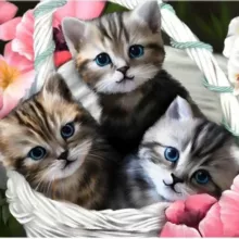 Музыкальные поздравления и красивые открытки🥰