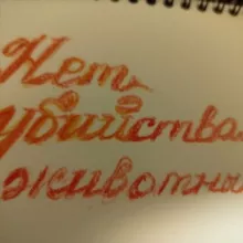 Елена Рохлина