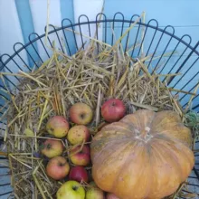 М = Моя Мовонька 💙💛