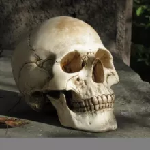 Skeletons from Osetia