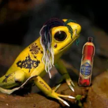 SSHIMANSKAYA ОРЁТ