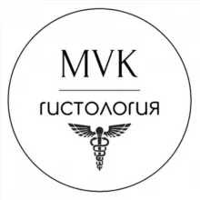 Гистология 🍭