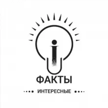 Интересные факты 💡