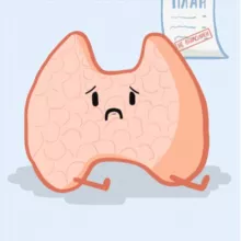 Эндокринология