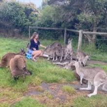 АвстрАллия 🇦🇺