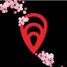 МИДИЙНОЕ МЕСТО Россия