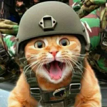 Rubix Q 777🙏☝️🟢 Kingdom of America 💜 I AM Sovereign ✨🕊️🐸