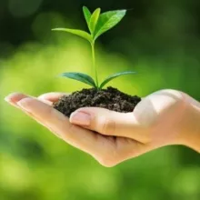 APRENDE SOBRE PLANTAS🪴