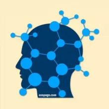 Дневник Познания