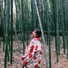 Япония от Nata.jp