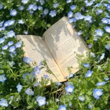 ПСИХОЛОГИЯ 🧠