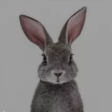 Обои & Темы на айфон📲