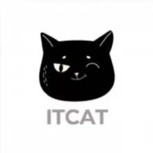 ITCAT