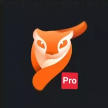 Motionleap Videoleap Pixaloop