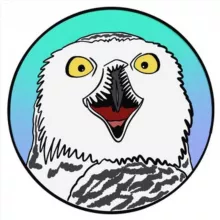 Биполярная сова 🦉 | Про зверят 🐾