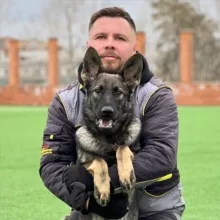 trenersobak | всё о собаках