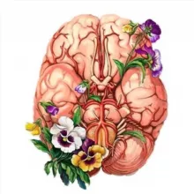 Тесты. Анатомия