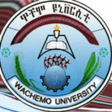 Wachemo university students