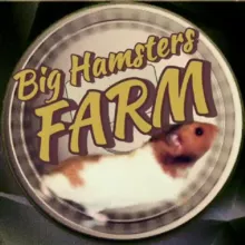 🐹BIG HAMSTERS FARM🐹