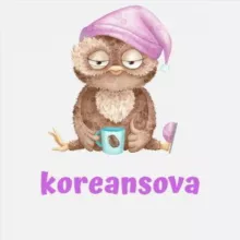 Корейский язык 🇰🇷 KOREA с Sova샘