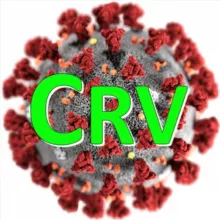 Covid Recherche Vérité