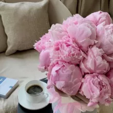 Архив курсов @rezerv_ot_blogerov2