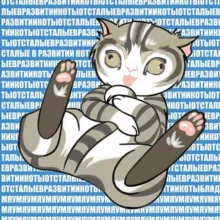 Отсталые в развитии коты