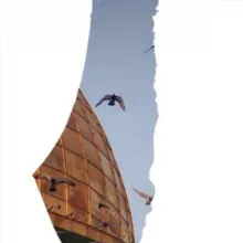 Fleurs de Poèmes et d'Héritage