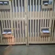 Dakan Qafaslari va Brooder Dastafka o‘zbekiston Bo‘ylab