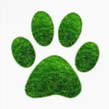 ЖИВАЯ ПЛАНЕТА 🦥