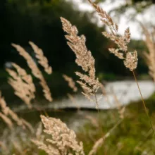 Just WOOD отель 🌱