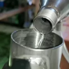 Oli Essenziali per gli Essenti