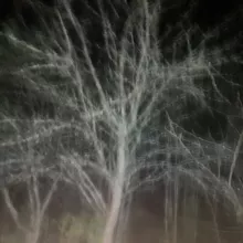 нытик с гитарой