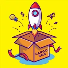 КАРГО СНГ 🇨🇳